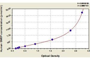 Typical Standard Curve