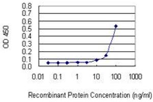 Detection limit for recombinant GST tagged SASH1 is 3 ng/ml as a capture antibody. (SASH1 antibody  (AA 1066-1175))