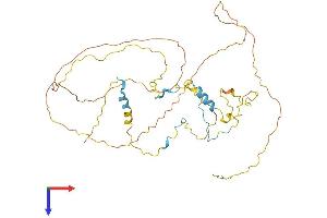 AlphaFold protein structure predicition of Mouse Recombinant Rcsd1 Protein, UniprotID Q3UZA1 (RCSD1 Protein (AA 1-412) (His tag))