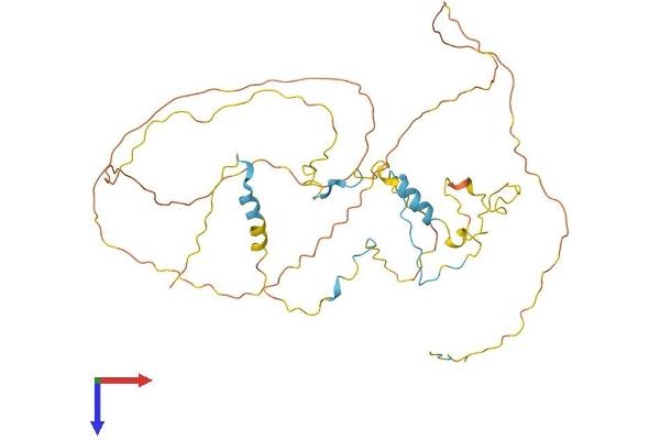 RCSD1 Protein (AA 1-412) (His tag)