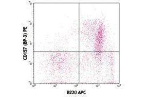 Flow Cytometry (FACS) image for anti-Bone Marrow Stromal Cell Antigen 1 (BST1) antibody (PE) (ABIN2662463) (BST1 antibody  (PE))