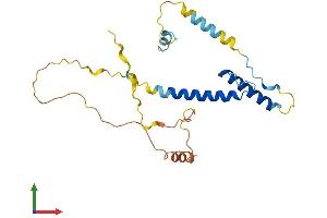 AlphaFold protein structure predicition of Mouse Recombinant Hand2 Protein, UniprotID Q61039