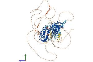 AlphaFold protein structure predicition of Human Recombinant RFX6 Protein, UniprotID Q8HWS3