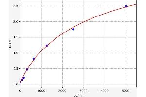 CDK16 ELISA Kit