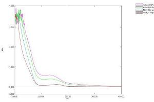 Image no. 1 for Asymmetrical Dimethylarginine (ADMA) protein (Ovalbumin) (ABIN1880295) (ADMA Protein (Ovalbumin))