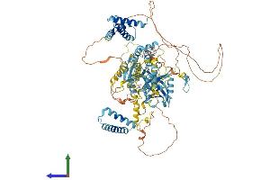 AlphaFold protein structure predicition of Mouse Recombinant Mtbp Protein, UniprotID Q8BJS8 (MTBP Protein (AA 1-894) (His tag))