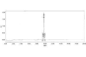 Image no. 3 for Pancreatic Polypeptide (PPY) peptide (Ovalbumin) (ABIN5666320) (Pancreatic Polypeptide (PPY) peptide (Ovalbumin))