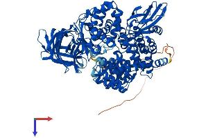 AlphaFold protein structure predicition of Mouse Recombinant Npepps Protein, UniprotID Q11011 (NPEPPS Protein (AA 1-920) (His tag))