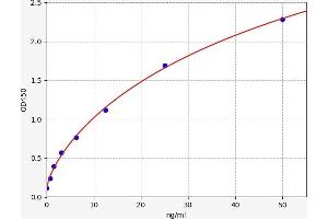 Typical standard curve (CD13 ELISA Kit)