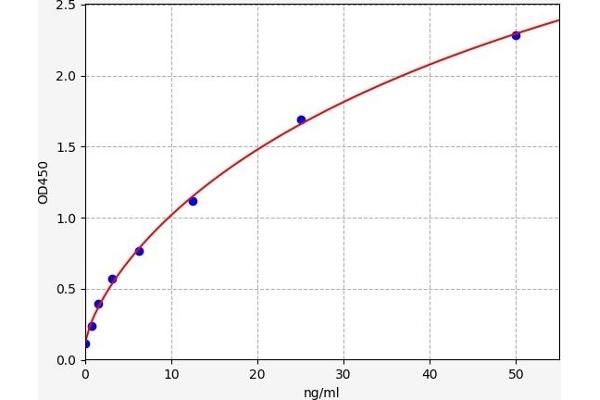 CD13 ELISA Kit