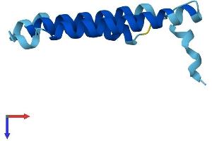 AlphaFold protein structure predicition of Mouse Recombinant Mtnd4l Protein, UniprotID P03903 (MT-ND4L Protein (AA 1-98) (His tag))