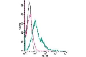 Cell surface detection of ZIP1 (SLC39A1) by indirect flow cytometry in live intact human K562 chronic myelogenous leukemia cells: (black line) Cells. (SLC39A1 antibody  (Extracellular))