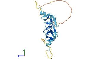 Protein Structure (PS) image for Cysteine-Rich Protein 2 (CRIP2) (AA 1-208) protein (His tag) (ABIN7546802)