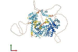 AlphaFold protein structure predicition of Human Recombinant SMARCAD1 Protein, UniprotID Q9H4L7