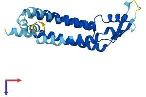 AlphaFold protein structure predicition of Mouse Recombinant Gje1 Protein, UniprotID Q9CX92 (GJE1 Protein (AA 1-205) (His tag))