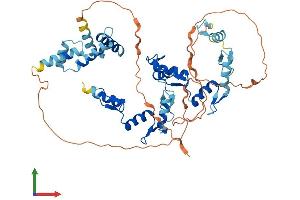 Protein Structure (PS) image for Zinc Finger and SCAN Domain Containing 22 (ZSCAN22) (AA 1-491) protein (His tag) (ABIN7545607)