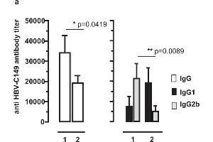 ELISA image for Rabbit anti-Mouse IgG2b antibody (HRP) (ABIN102401)