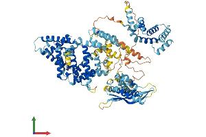 AlphaFold protein structure predicition of Mouse Recombinant Snx25 Protein, UniprotID Q3ZT31