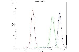 Flow Cytometry analysis of PC-3 cells using anti-Synaptotagmin 1 antibody (ABIN5692948). (SYT1 antibody)