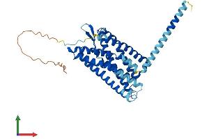 Protein Structure (PS) image for Purinergic Receptor P2Y, G-Protein Coupled, 1 (P2RY1) (AA 1-373) protein (His tag) (ABIN7563342)