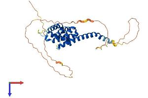 Katanin p80 Subunit B-Like 1 (KATNBL1) (AA 1-304) protein (His tag)