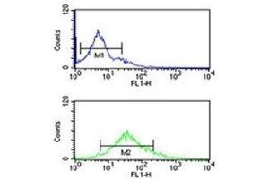 Histone H3. (Histone H3.3 antibody  (Lys9))