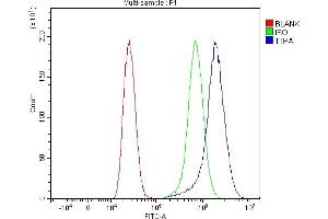 Flow Cytometry analysis of MCF-7 cells using anti-TTPA/TPP1 antibody (ABIN7599931). (TTPA antibody  (AA 13-278))