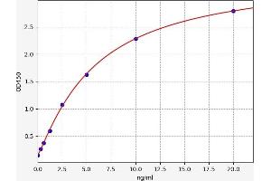 Aryl Hydrocarbon Receptor ELISA Kit