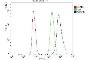 Flow Cytometry analysis of NRK cells using anti-AKAP12 antibody (ABIN7601563). (AKAP12 antibody  (AA 387-1620))