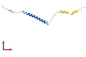 AlphaFold protein structure predicition of Mouse Recombinant Gypc Protein, UniprotID Q78HU7