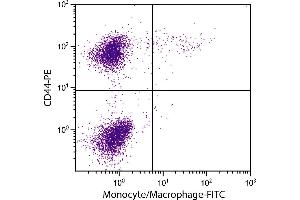 Chicken peripheral blood monocytes were stained with Mouse Anti-Chicken Monocyte/Macrophage-FITC. (Macrophage/Monocyte antibody (FITC))