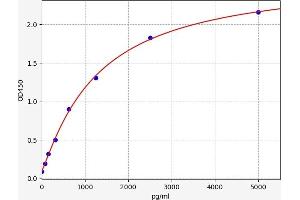 DKK2 ELISA Kit