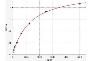 Typical standard curve (DKK2 ELISA Kit)