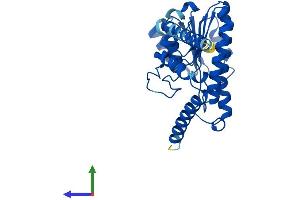 AlphaFold protein structure predicition of Human Recombinant HSD17B12 Protein, UniprotID Q53GQ0 (HSD17B12 Protein (AA 1-312) (His tag))