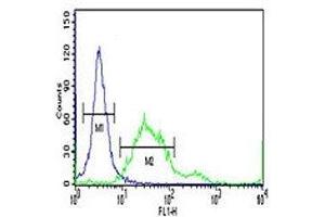 PROX1 antibody flow cytometric analysis of 293 cells (right histogram) compared to a negative control (left histogram). (PROX1 antibody  (AA 492-520))