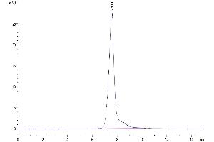 The purity of Mouse Siglec-5/CD170 is greater than 95 % as determined by SEC-HPLC. (SIGLEC5 Protein (AA 17-439) (His tag))