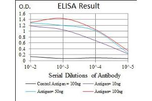 Image no. 3 for anti-Microtubule-Associated Protein 2 (MAP2) antibody (ABIN1491246) (MAP2 antibody)