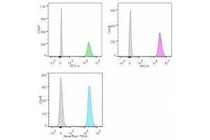Flow Cytometry (FACS) image for anti-Nucleolin (NCL) antibody (ABIN3025707)