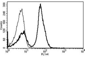 Flow Cytometry (FACS) image for anti-CD28 (CD28) antibody (FITC) (ABIN1106184) (CD28 antibody  (FITC))