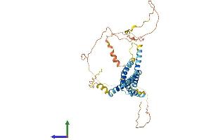 Protein Structure (PS) image for Transmembrane Protein 79 (TMEM79) (AA 1-391) protein (His tag) (ABIN7561062)