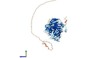 AlphaFold protein structure predicition of Mouse Recombinant Usp39 Protein, UniprotID Q3TIX9