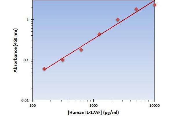 IL-17A/F ELISA Kit