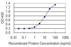 Detection limit for recombinant GST tagged TEX14 is 0. (TEX14 antibody  (AA 1392-1491))
