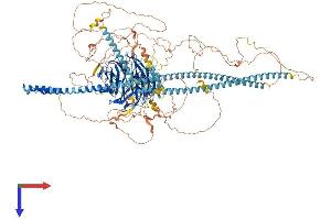 AlphaFold protein structure predicition of Human Recombinant MAPK8IP3 Protein, UniprotID Q9UPT6 (JIP3 Protein (AA 1-1336) (His tag))