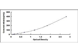 Typical standard curve (Complement Factor B ELISA Kit)