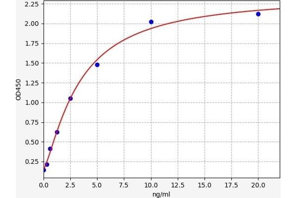 HMGN1 ELISA Kit