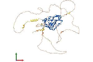 AlphaFold protein structure predicition of Human Recombinant TBX15 Protein, UniprotID Q96SF7 (T-Box 15 Protein (TBX15) (AA 1-602) (His tag))