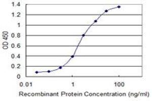 Detection limit for recombinant GST tagged RBM10 is 0. (RBM10 antibody  (AA 123-230))
