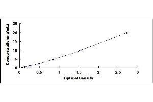 Typical standard curve (BCL11A ELISA Kit)