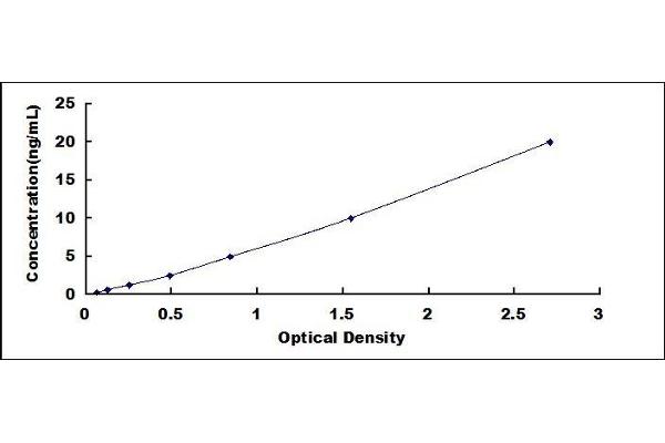 BCL11A ELISA Kit